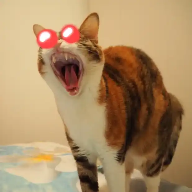 angry cat meme roaring with glowing red eyes on bed