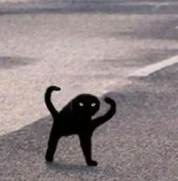 black cat meme posing menacingly with arms raised in dramatic power stance