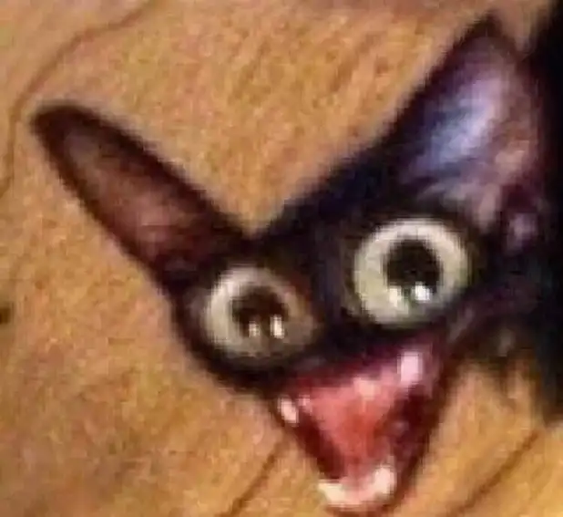 sneaky black cat meme snarling with wide eyes and bared fangs in surprise