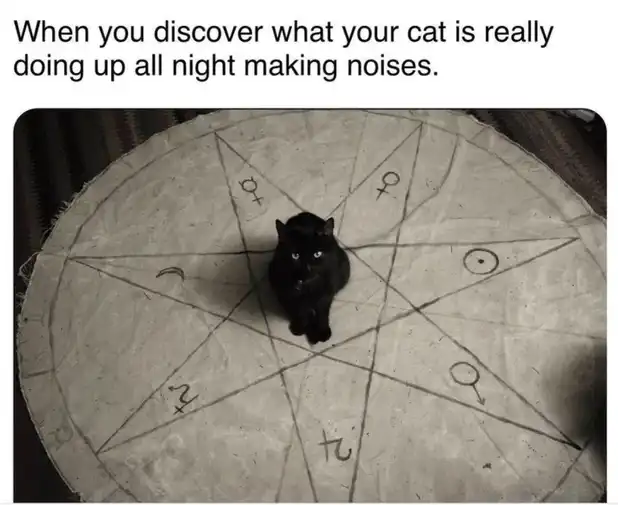 witchy black cat meme sitting solemnly in zodiac pentagram circle