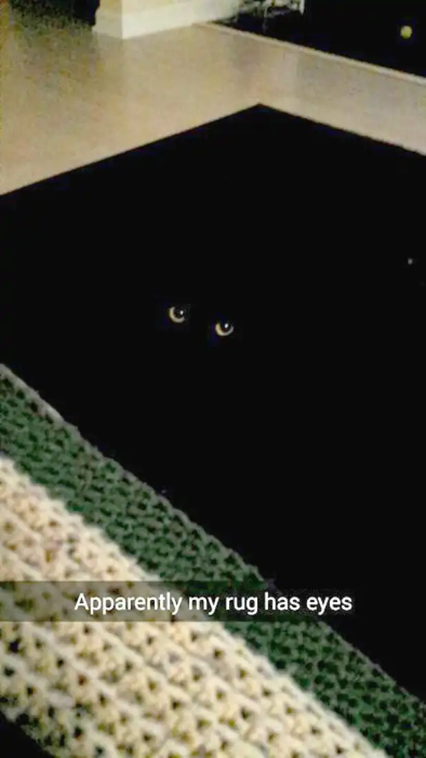 camouflaged black cat meme peeking eyes from dark rug