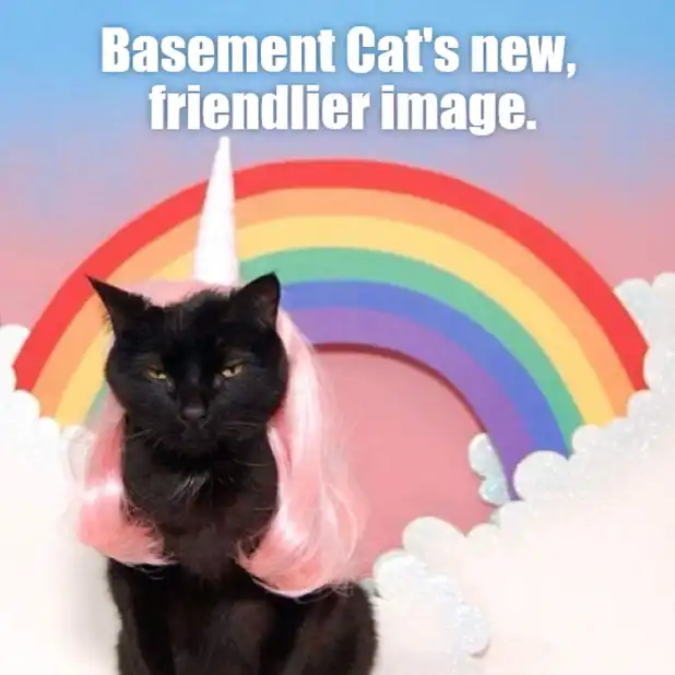 sassy black cat meme in pink unicorn wig against rainbow