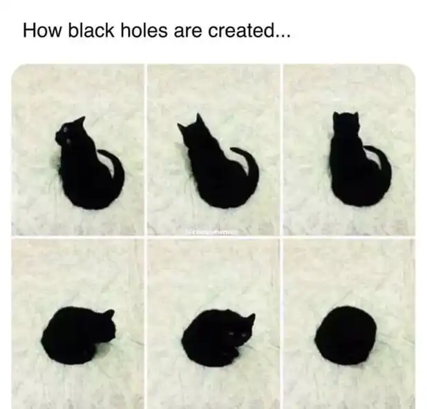 cosmic black cat meme sequence transforming into black hole loaf