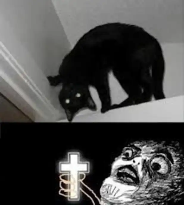spooky black cat meme arched in fright with rage comic exorcist