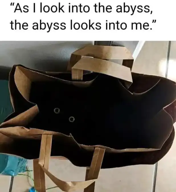 philosophical black cat meme peeking eyes from paper bag abyss
