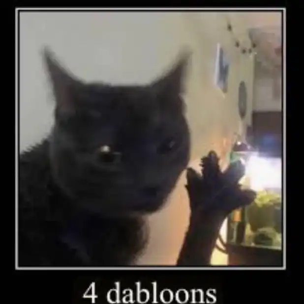 black cat meme dabbing clumsily with wild fur and confused expression