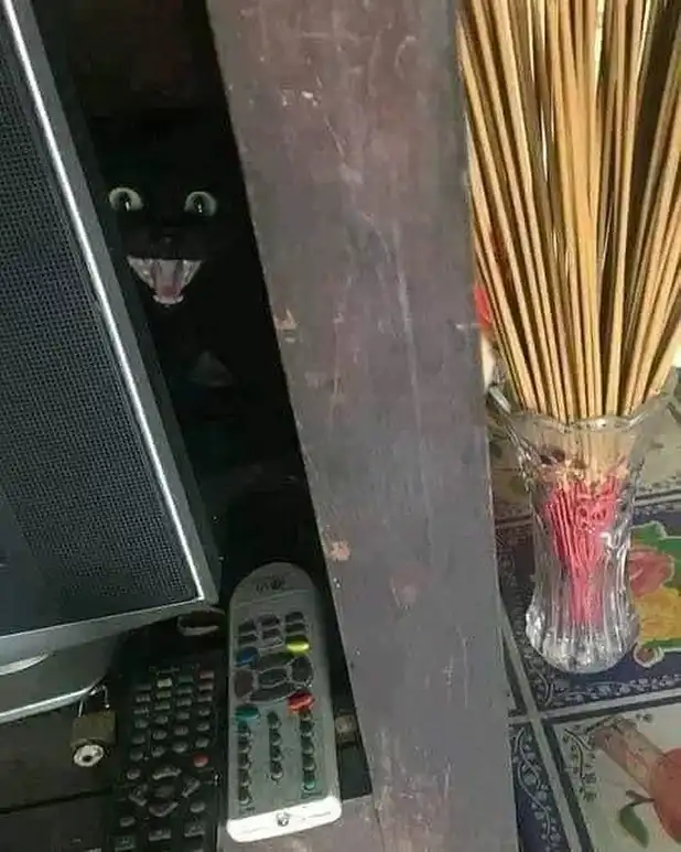 black cat meme peeking wide-eyed and grinning from behind TV stand