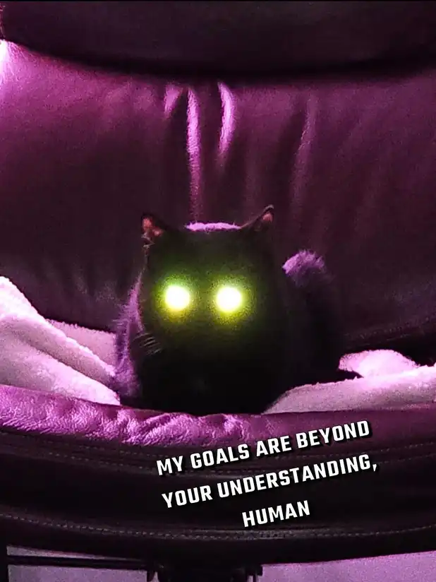evil black cat meme lounging on purple chair with glowing green eyes