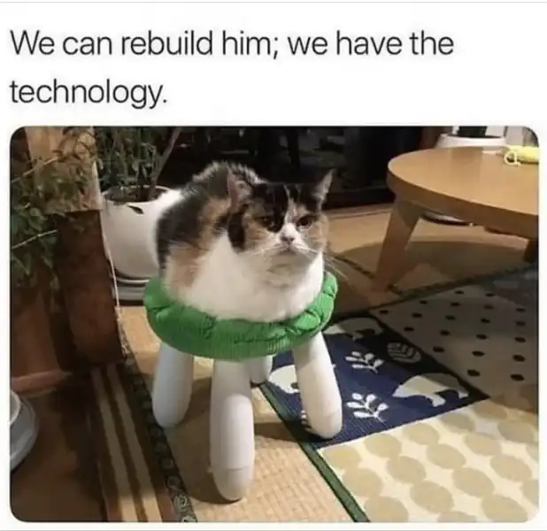 Robotic cat meme showing feline with foam prosthetic legs