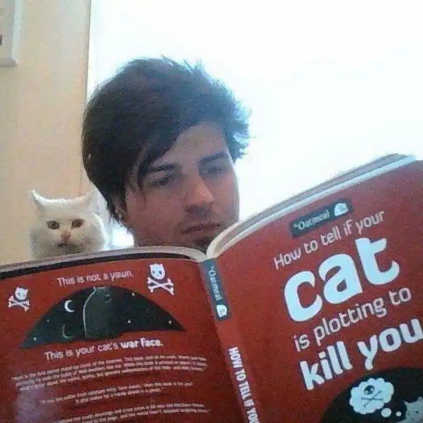 Stealthy cat meme of white kitty scheming behind reading owner