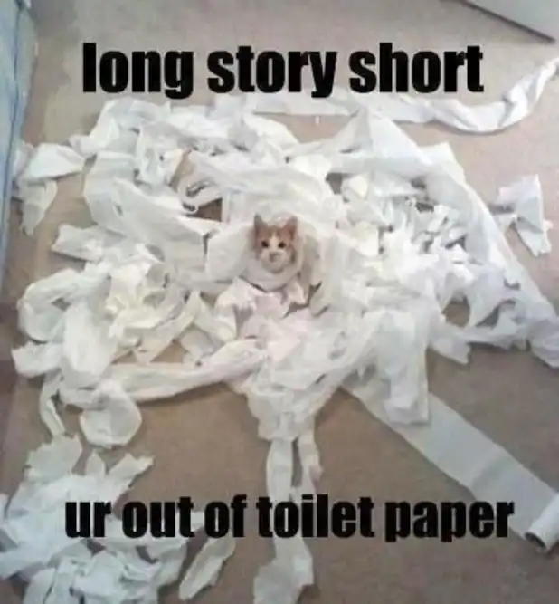 Toilet paper-shredding kitten meme causing shortage