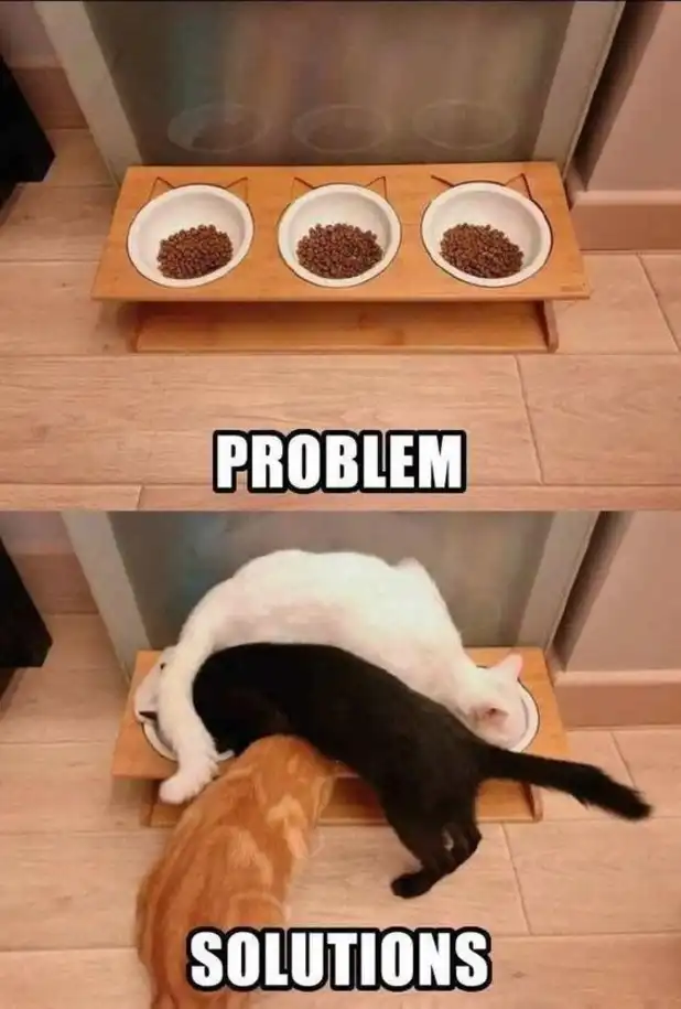 Stacked cats meme devouring food from triple bowls
