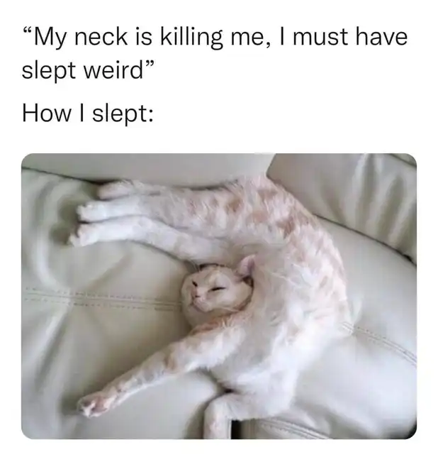 Orange tabby cat sleeping in impossibly contorted neck pose on bed, ridiculous sleep position meme