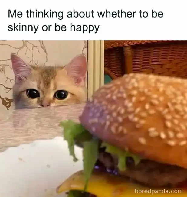 Tabby kitten eyeing juicy burger suspiciously from hiding spot, eternal food dilemma debate