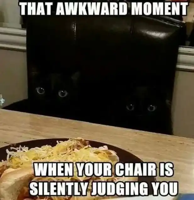 Black cat peeking over leather chair back staring at plate of food, ultimate envious overseer