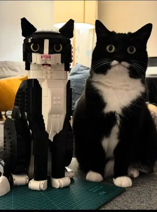 Black and white cat posing beside identical Lego figurine, uncanny valley toy doppelganger