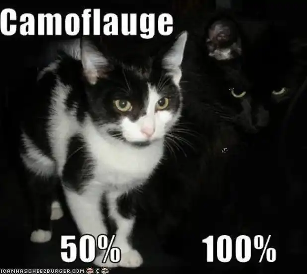 Tuxedo cat partially concealed in dark with glowing eyes, failed camouflage attempt exposed