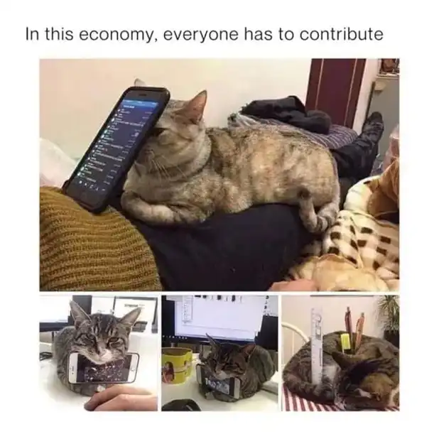 Tabby cats using phones and objects as headrests in various creative poses, quirky work-from-home setup