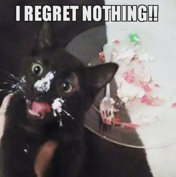 Black cat with whipped cream mustache beside demolished cake plate, unapologetic baking bandit