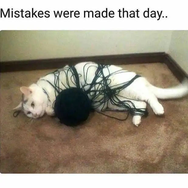 White cat tangled in black yarn ball on floor, chaotic crafting catastrophe survivor
