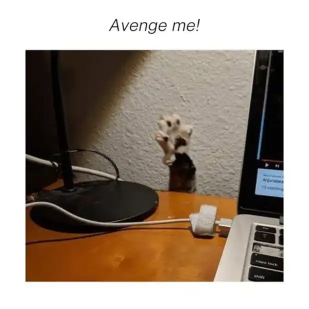 Kitten paw dramatically raised over desk edge, theatrical plea for dramatic revenge